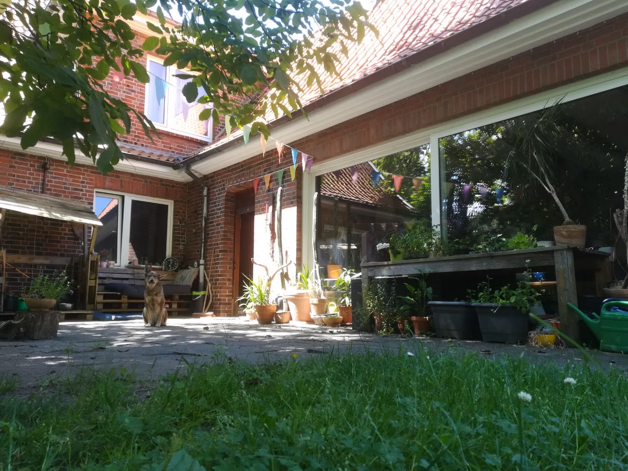 freundlich-sonnige Außenansicht der Praxisräume